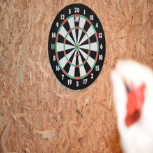 Last inn bildet i Galleri-visningsprogrammet, Sunflex dartspill 46cm
